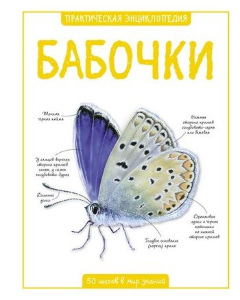 Бабочки. Детская энциклопедия