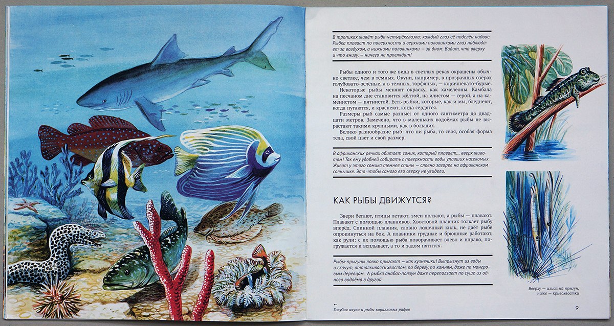 Прочитайте рыбе вода. Книга Сладков рыбы. Рыба для детей.