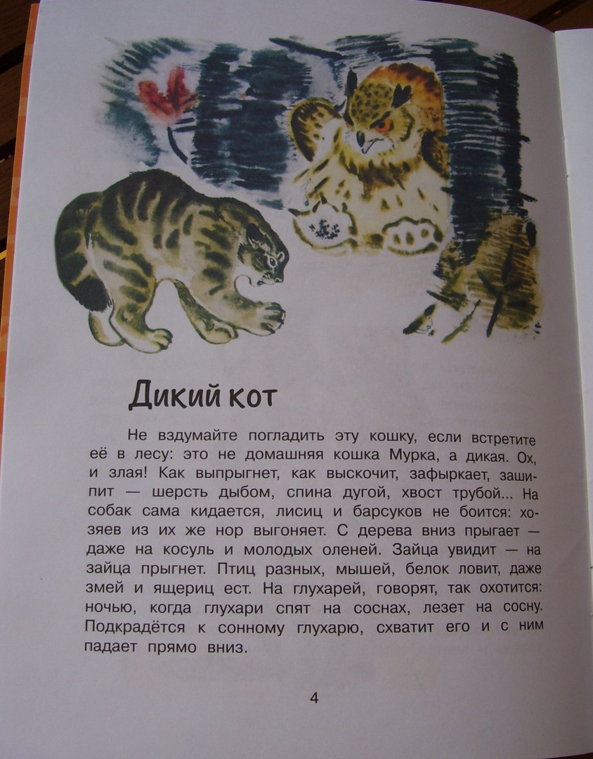 Книга дикий кот. Акимушкин рассказы о животных. Акимушкин и.и. "рассказы о любимых животных". Акимушкин иллюстрации.