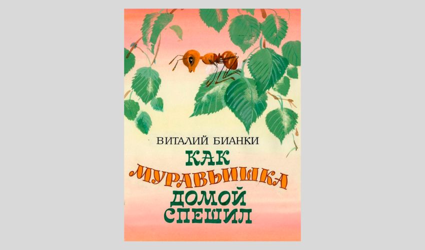 Виталий Бианки. Как муравьишка домой спешил