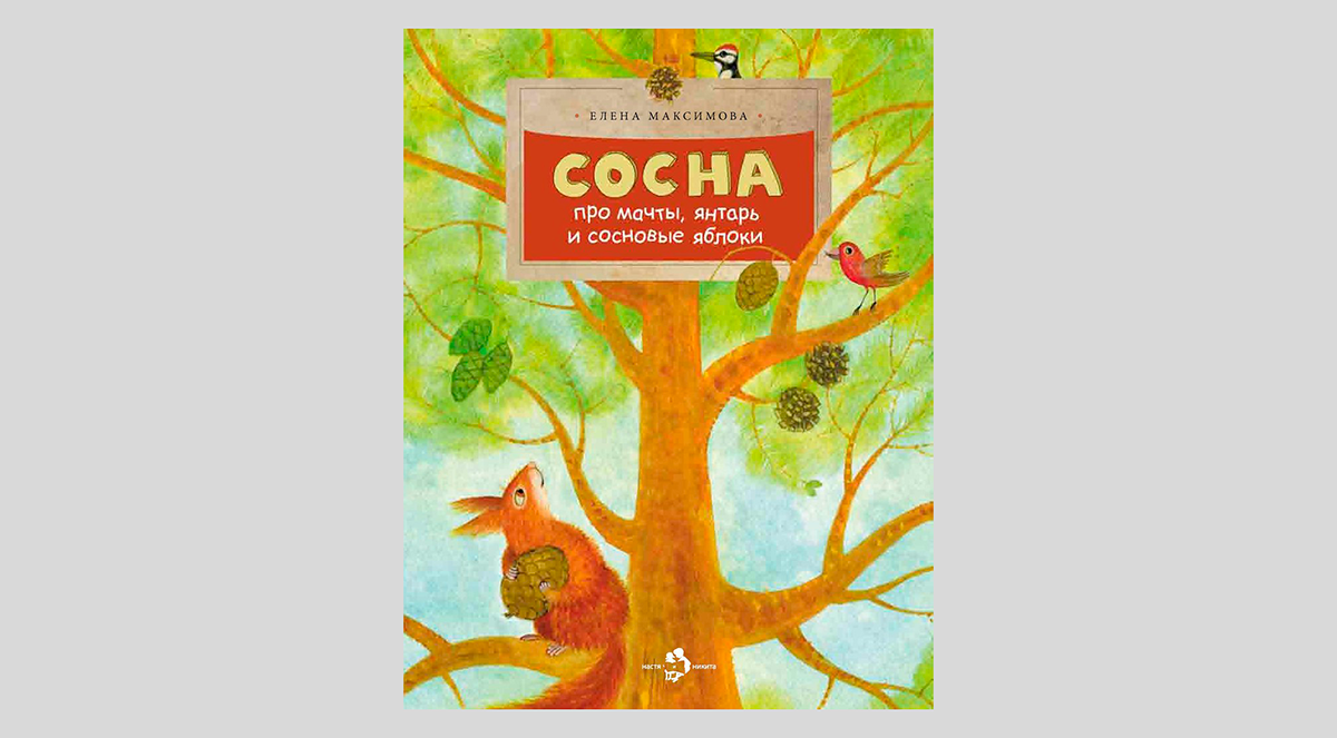 Елена Максимова. Сосна. Про мачты, янтарь и сосновые яблоки