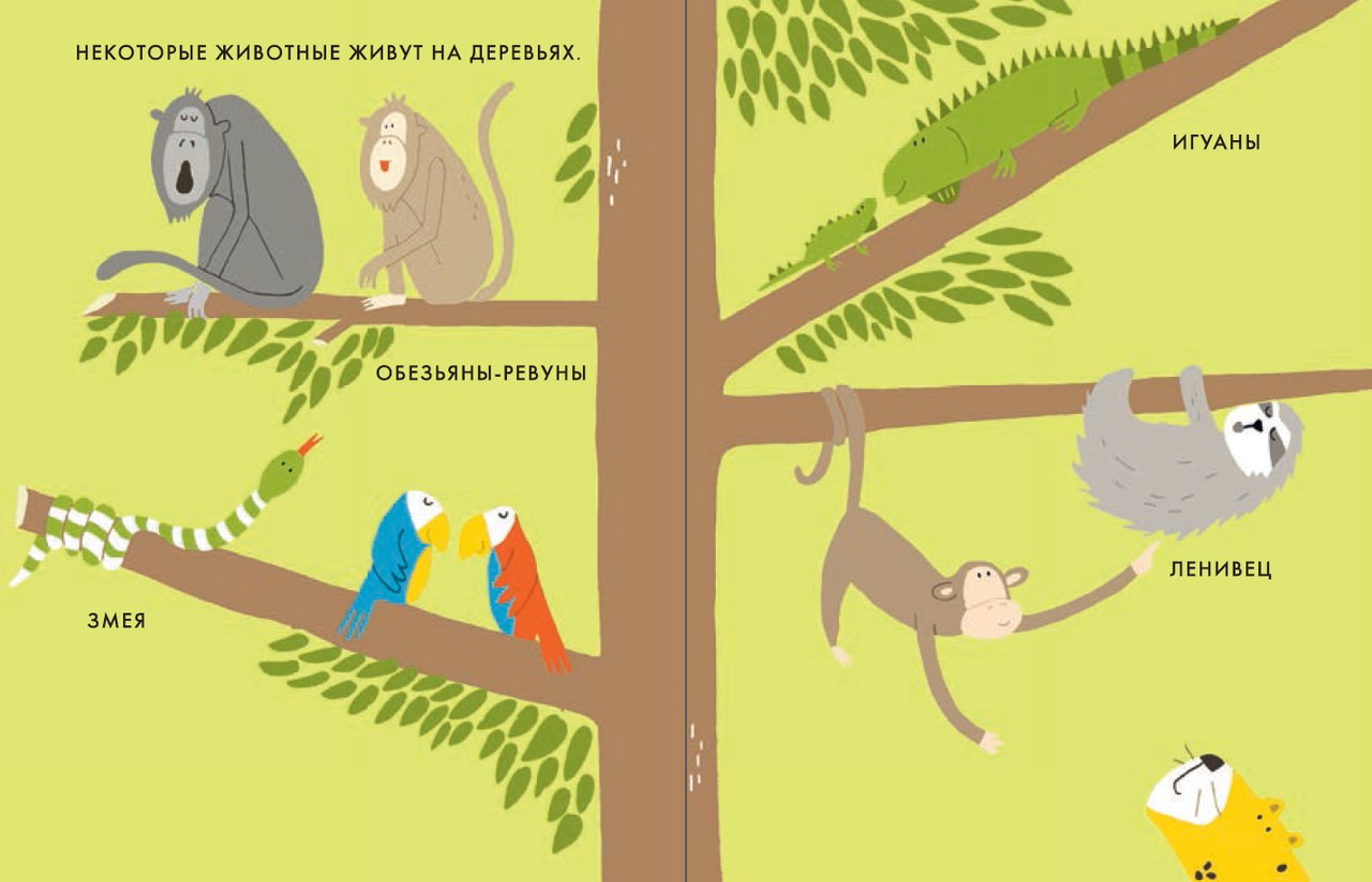 Катрин Виле. Мой маленький лес. Мой маленький сад. Моё маленькое море. Мои маленькие джунгли