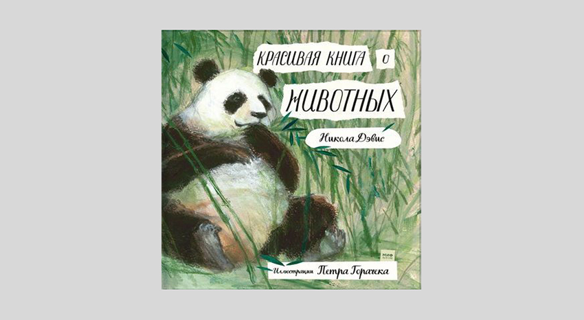 Никола Дэвис. Красивая книга о животных