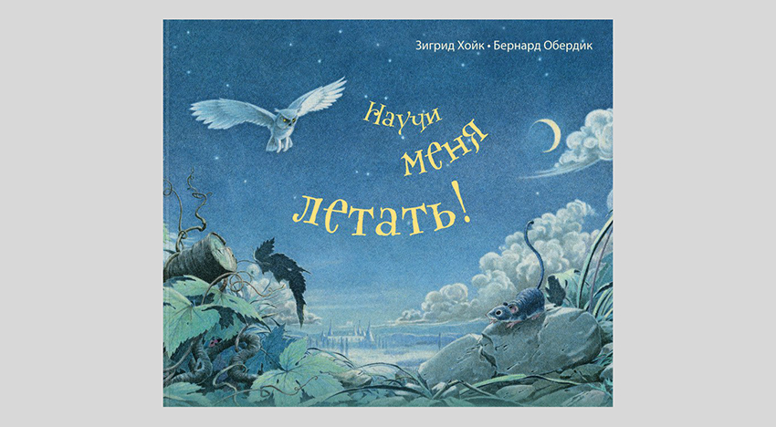 Зигрид Хойк. Научи меня летать!