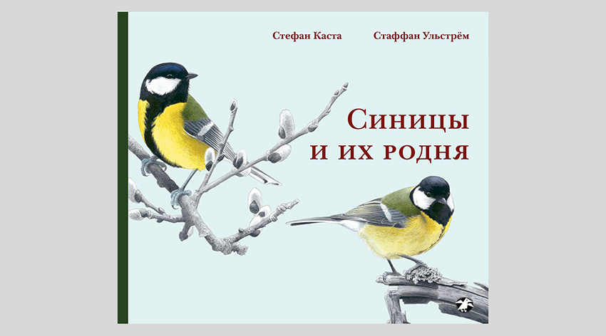 Стефан Каста. Синицы и их родня