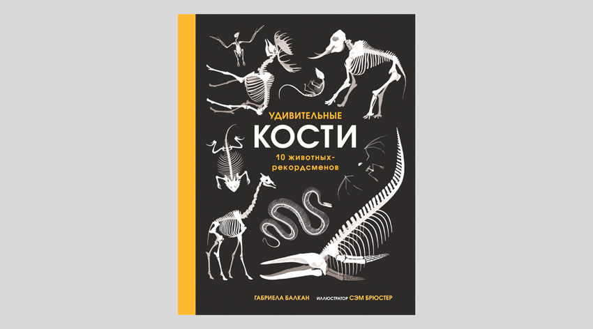 Габриела Балкан. Удивительные кости. Десять животных-рекордсменов