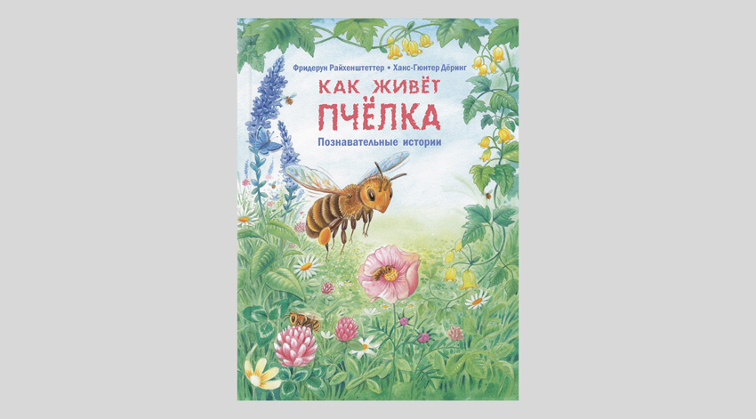 Фридерун Райхенштеттер. Как живёт пчёлка. Познавательные истории