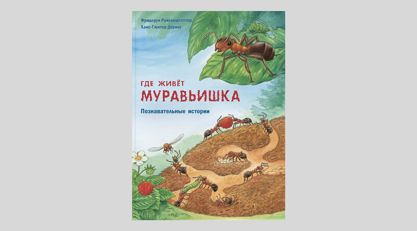 Фридерун Райхенштеттер. Где живёт муравьишка
