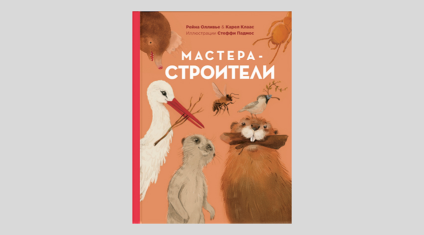 Рейна Олливье, Карел Клаас. Мастера-строители