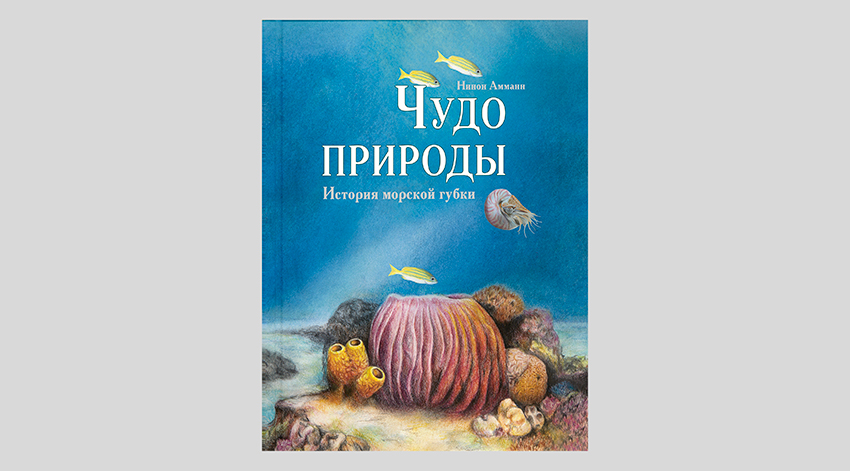 Нинон Амманн. Чудо природы. История морской губки