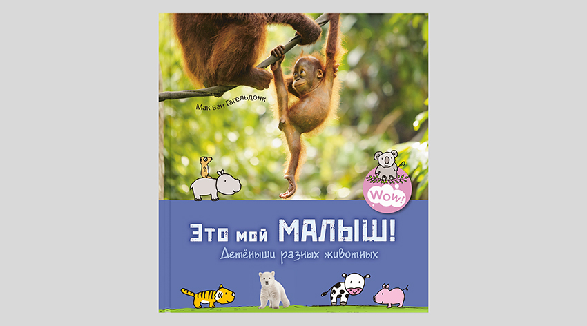 Мак ван Гагельдонк. Это мой малыш! Детёныши разных животных