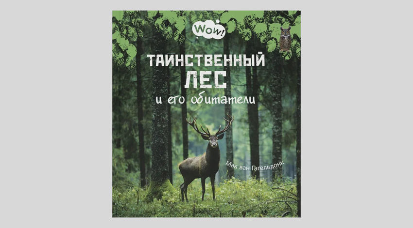 Мак ван Гагельдонк. Таинственный лес и его обитатели