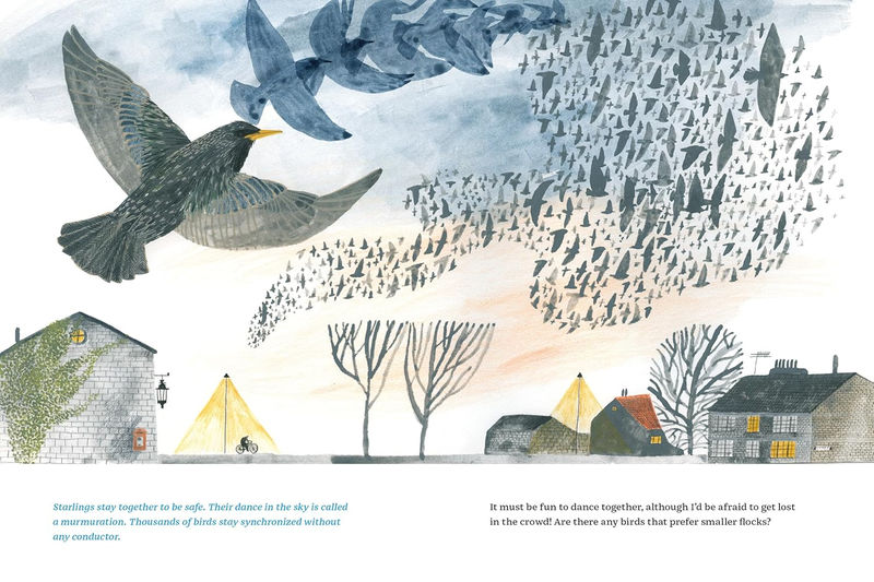 Olga Ptashnik. Fly like a bird