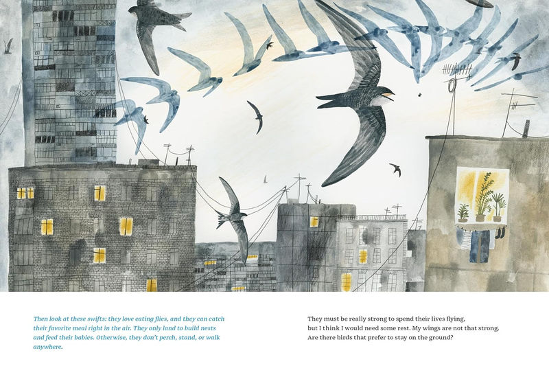 Olga Ptashnik. Fly like a bird