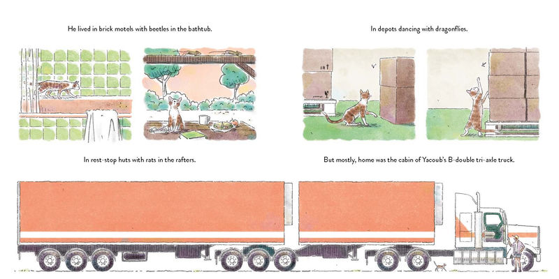 Дебора Френкель. Дорожный кот