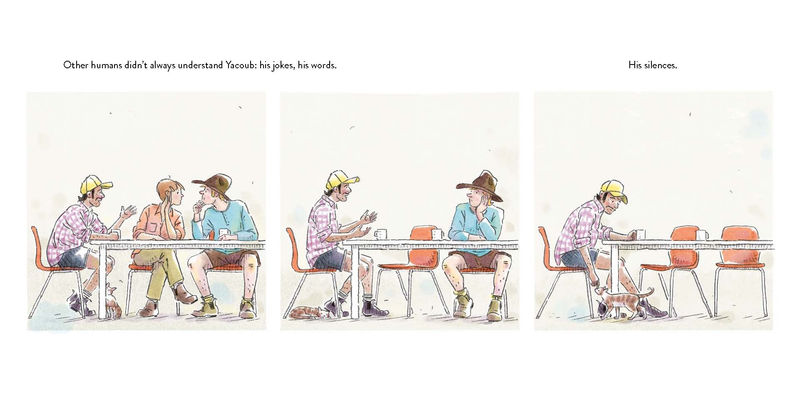 Дебора Френкель. Дорожный кот