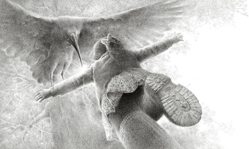 Чжэн Фэн. Восточная жемчужина: хохлатый ибис