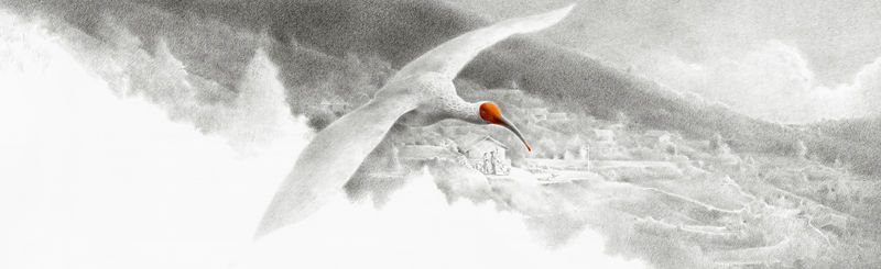 Чжэн Фэн. Восточная жемчужина: хохлатый ибис