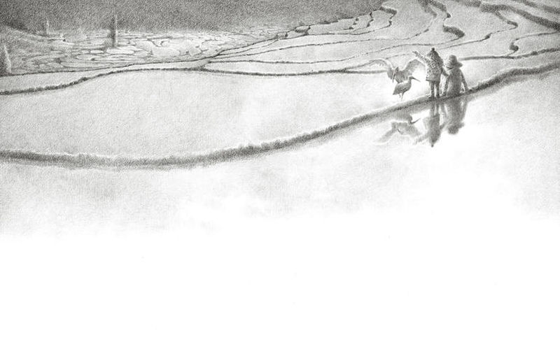 Чжэн Фэн. Восточная жемчужина: хохлатый ибис