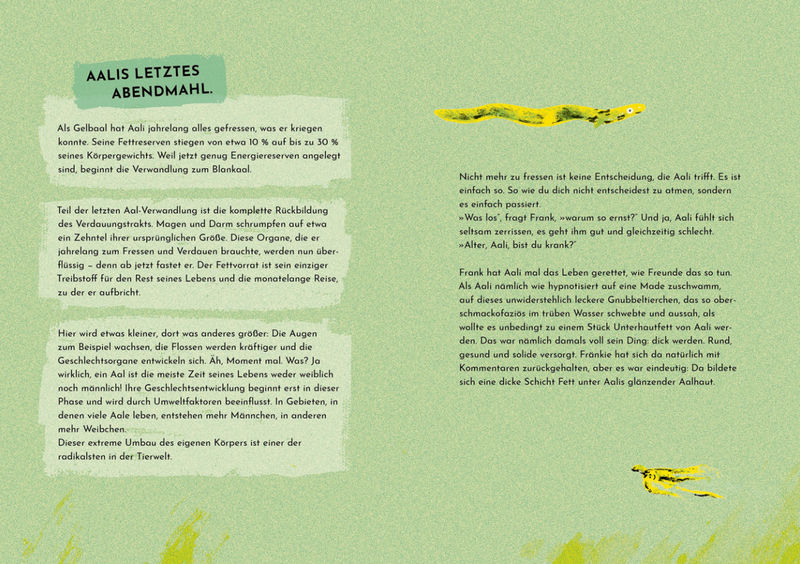 Дита Ципфель, Финн-Оле Хайнрих. Аали пора в путь