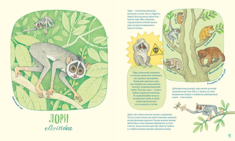 Лена Анлауф. Гениальные глаза. Собрание причудливых животных