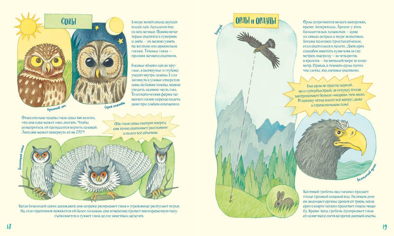 Лена Анлауф. Гениальные глаза. Собрание причудливых животных