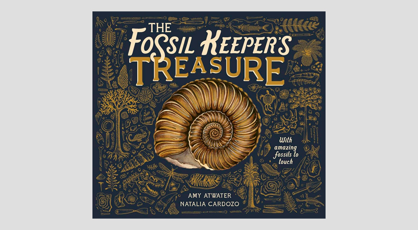 Сокровища искателя окаменелостей: палеонтология как искусство видеть сквозь время