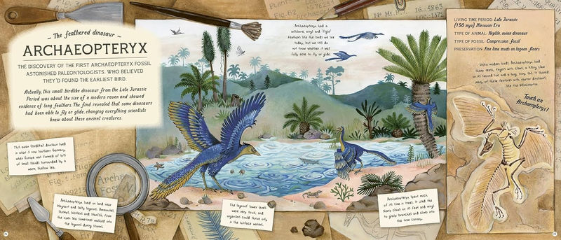 Эми Этуотер «Сокровища искателя окаменелостей»