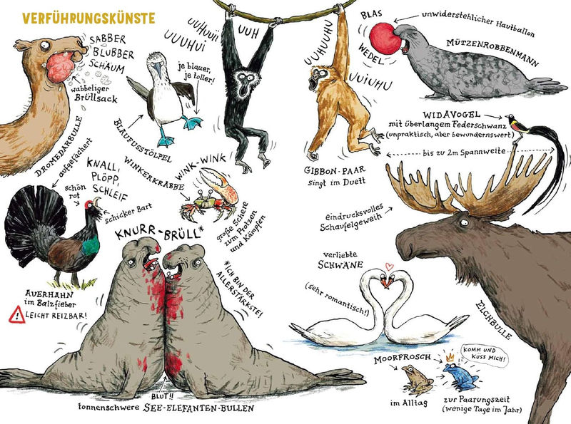 Катарина фон дер Гатен. Личная жизнь животных