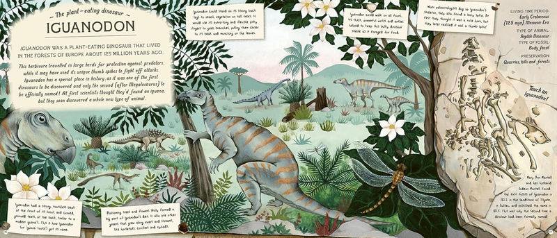 Эми Этуотер «Сокровища искателя окаменелостей»