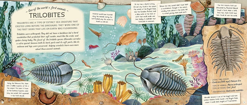 Эми Этуотер «Сокровища искателя окаменелостей»