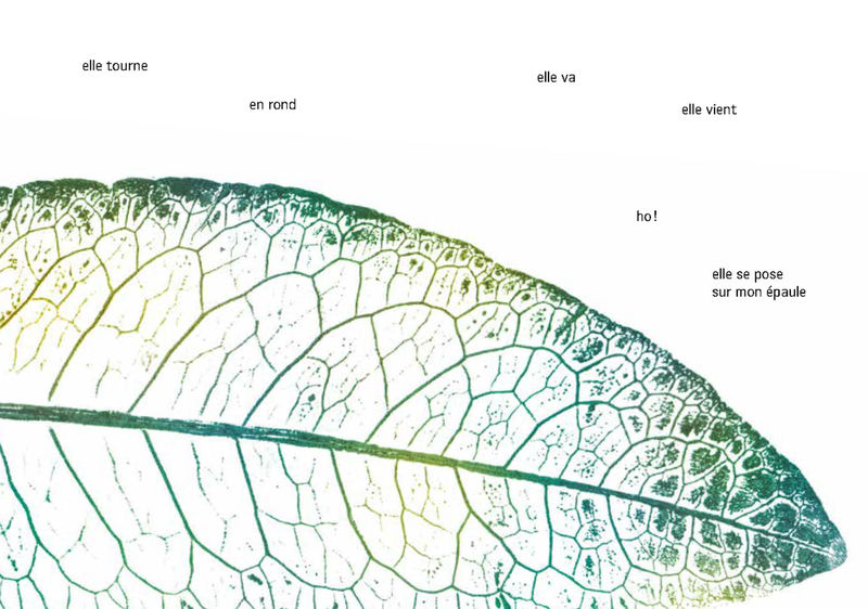 Пьер Коран. На крыльях